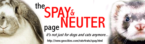 Spay and Neuter your ferrets and rabbits, please!